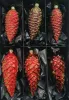 Zapfen, mundgeblasen rot/ dunkelrot Mix, 16 und 12 cm, 6tlg Set